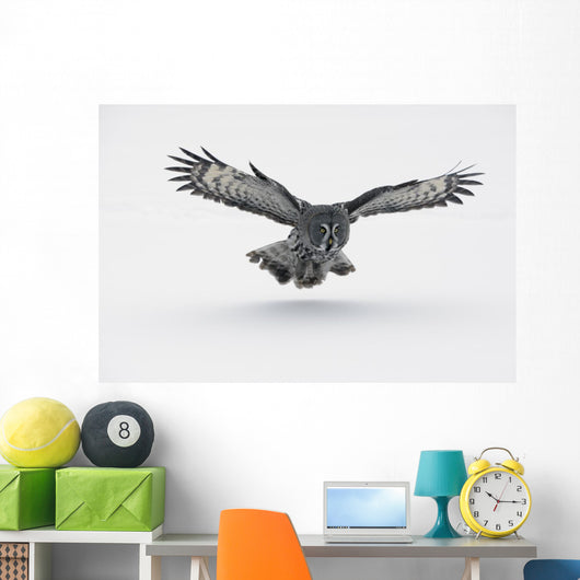 Flying Great-grey Owl Strix Nebulosa Wall Decal