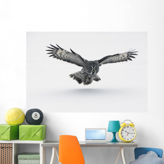 Flying Great-grey Owl Strix Nebulosa Wall Decal