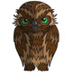 Angry Cartoon Owl Wall Decal