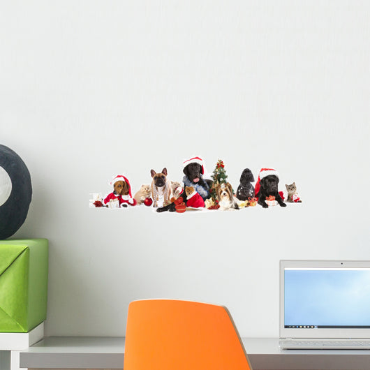 Dog and Cat Wearing Wall Decal