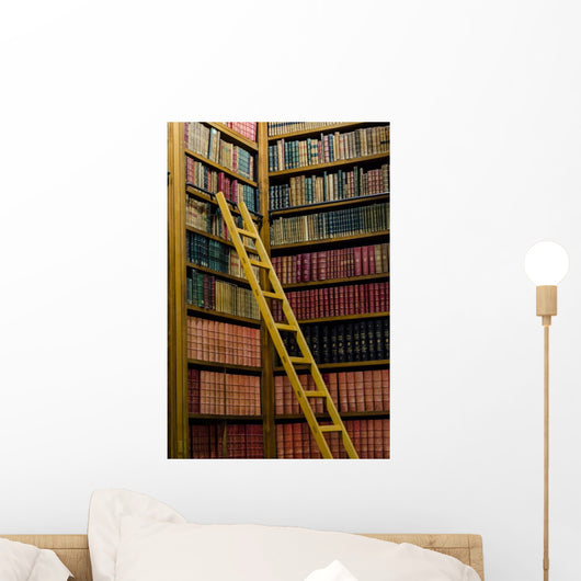 Wooden Ladder Old Library Wall Decal