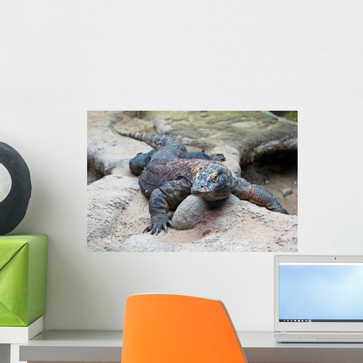 Big Komodo Dragon Wall Decal