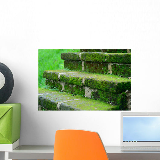Moss Concrete Stair Forest Wall Decal