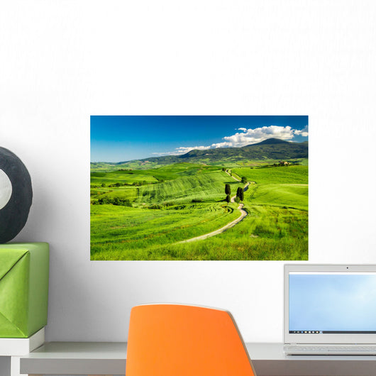Beautiful Path between Fields Wall Decal