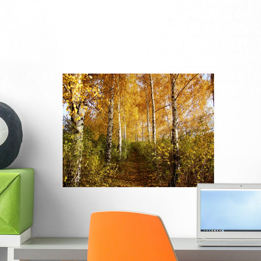 Birch Wall Decal