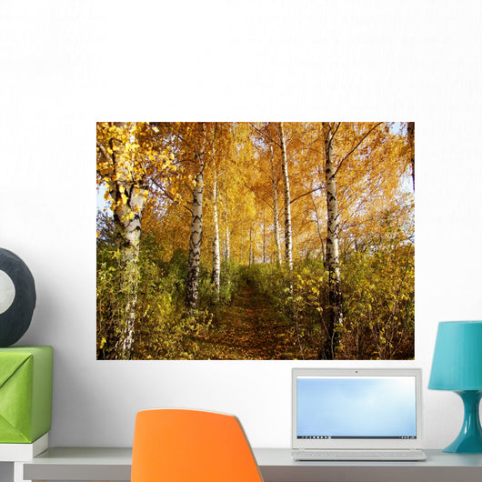 Birch Wall Decal