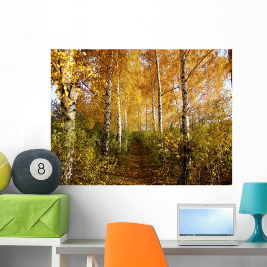Birch Wall Decal