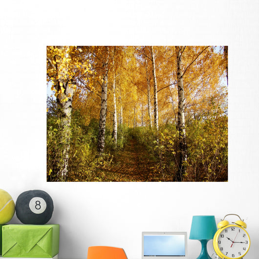 Birch Wall Decal