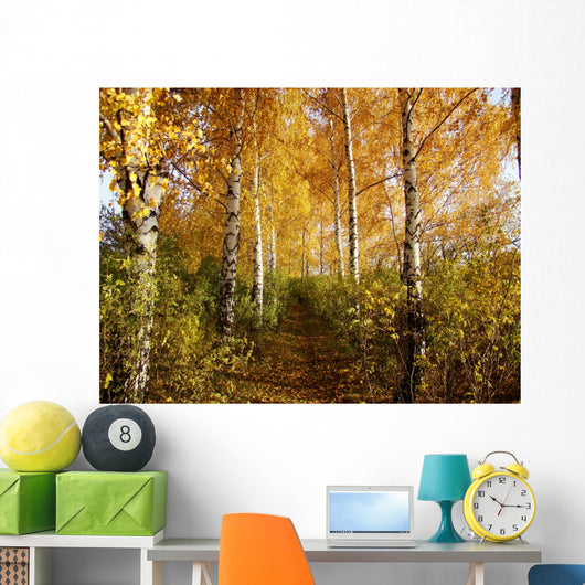 Birch Wall Decal