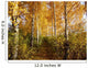 Birch Wall Decal