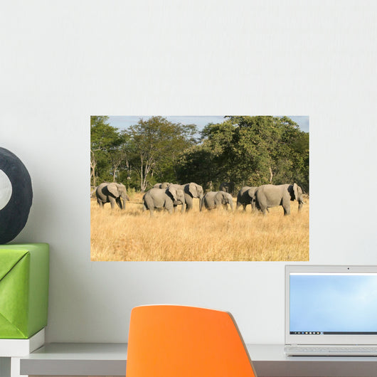 Herd Elephants Moremi Nature Wall Decal
