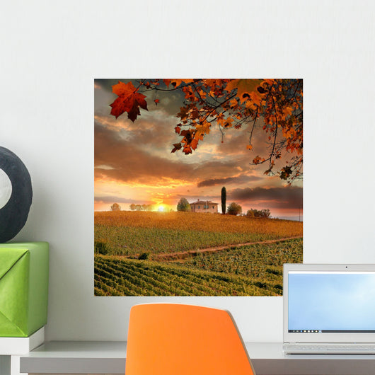 Vine Landscape and House Chianti Italy Wall Decal