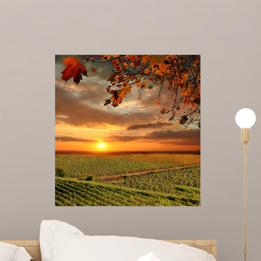 Vine Landscape Chianti Italy Wall Decal