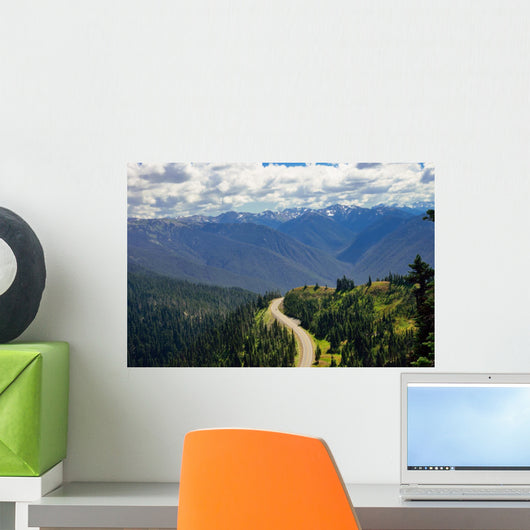 Road toward Hurricane Ridge Wall Decal