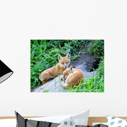 Red Fox Vulpes Vulpes Wall Decal