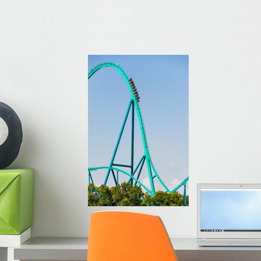 Fast Fall Roller Coaster Wall Decal