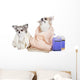 Wash Dogs Wall Decal