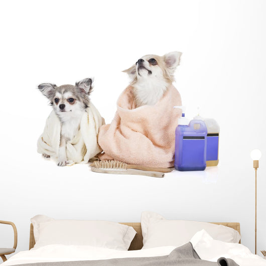 Wash Dogs Wall Decal