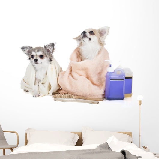Wash Dogs Wall Decal