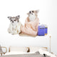 Wash Dogs Wall Decal