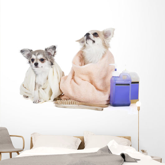Wash Dogs Wall Decal