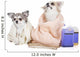 Wash Dogs Wall Decal