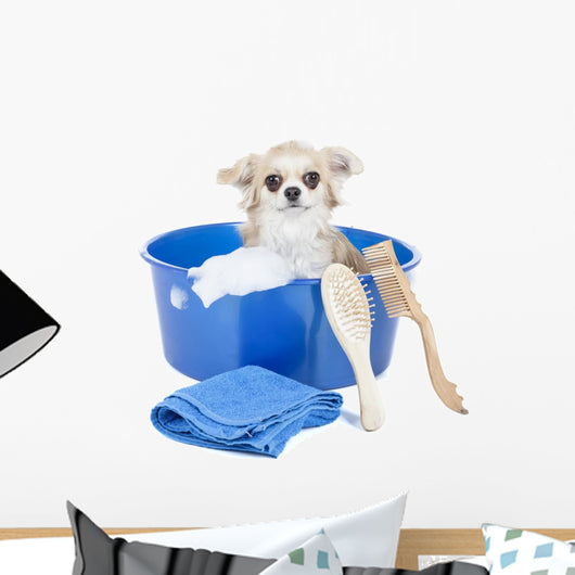 Wash Dog Wall Decal