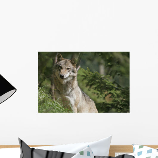 Wolf in the Forest Wall Decal