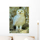Snowy Owl - Harfang Wall Decal