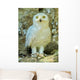 Snowy Owl - Harfang Wall Decal