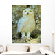 Snowy Owl - Harfang Wall Decal