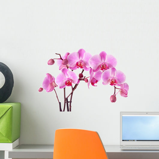 Purple Orchids Wall Decal