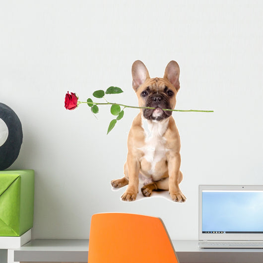 French Bulldog with Rose Wall Decal