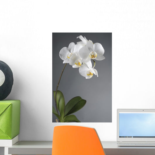 White Orchid Flower Wall Decal