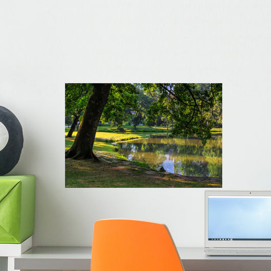 Trees near Pond City Wall Decal