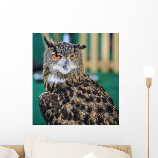 Eagle Owl Head Turned Wall Decal