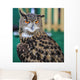 Eagle Owl Head Turned Wall Decal
