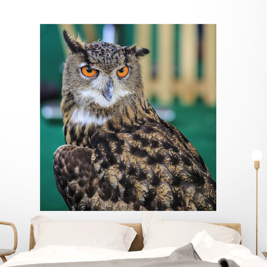 Eagle Owl Head Turned Wall Decal