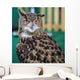 Eagle Owl Head Turned Wall Decal