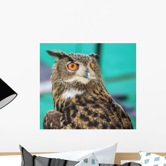 Wide-Eyed Eagle Owl Wall Decal