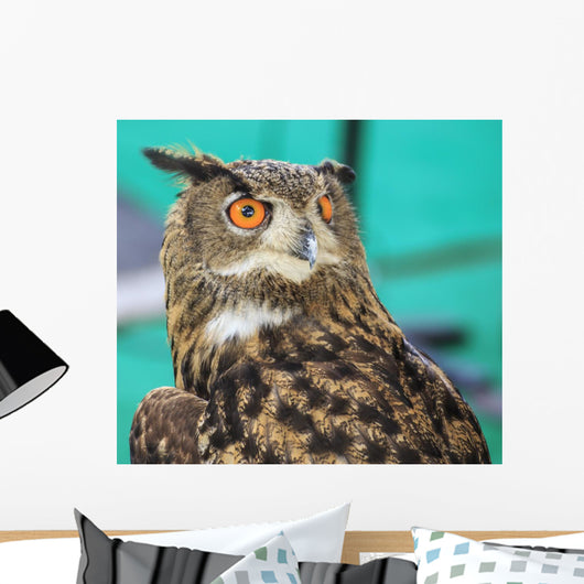 Wide-Eyed Eagle Owl Wall Decal