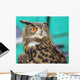 Wide-Eyed Eagle Owl Wall Decal