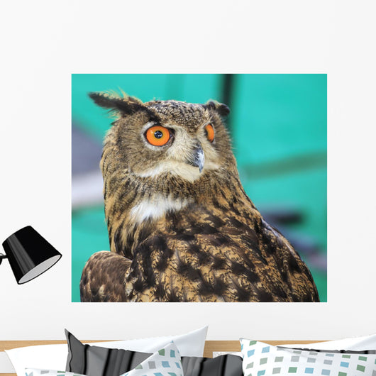 Wide-Eyed Eagle Owl Wall Decal