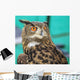 Wide-Eyed Eagle Owl Wall Decal
