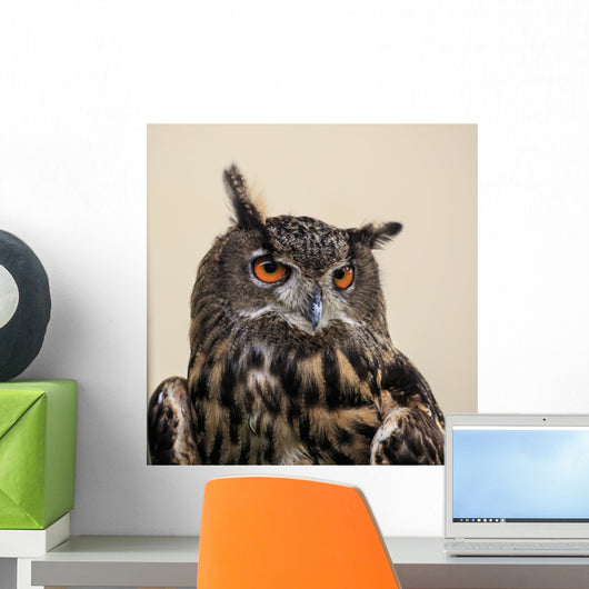 Eagle Owl Wall Decal