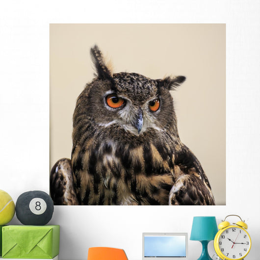 Eagle Owl Wall Decal