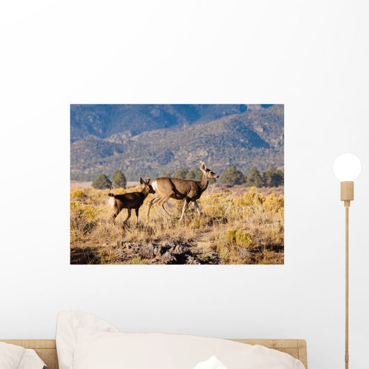 Deer and Her Fawn Wall Decal
