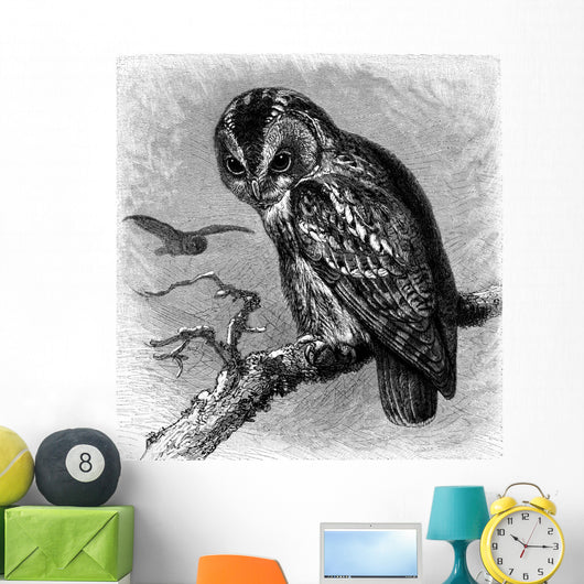 Bird Owl Hibou Eule Wall Decal