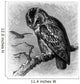 Bird Owl Hibou Eule Wall Decal