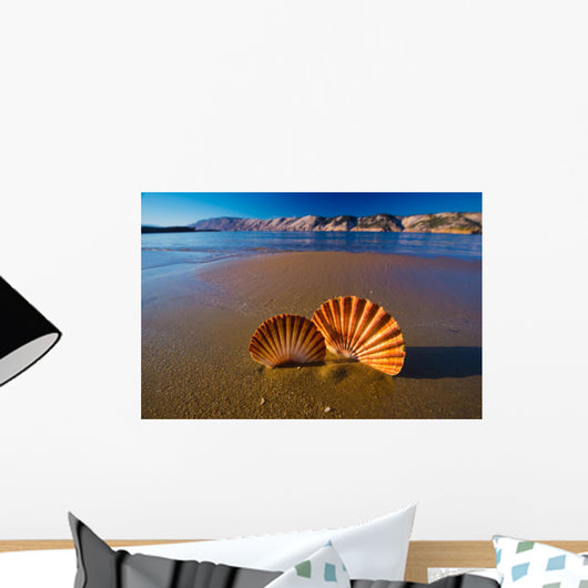 Beautiful Landscapes Shells Beach Wall Decal